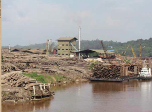 Stripping out the wealth - exporting Sarawak's timber.