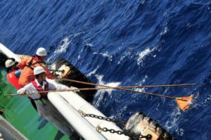 Fishermen reported this debris to the Malaysian Maritime Agency, which dropped it during attempted salvage - 'boarding' was written on the apparent life raft.