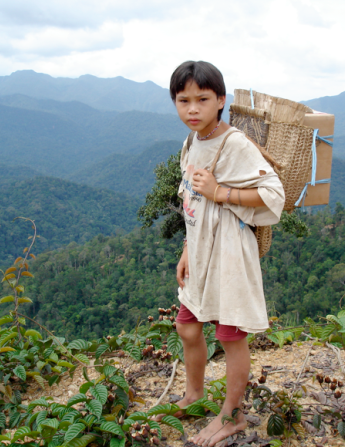 Indigenous communities have long fought illegal logging in Malaysia.