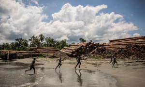 WTK has been causing detrimental environmental and social impacts on the Turubu community in PNG's East Sepik provence.