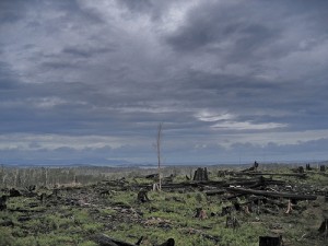 Pengerusak kampung bungas enggau kampung puda di Tasmania