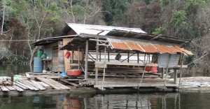Scene of modernity? - The floating homes of Bakun where desperate tribespeople have returned to their old lands, destroyed by flooding.