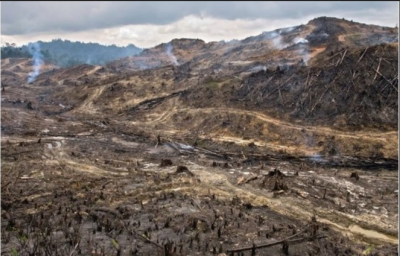 Bare hillsides cause floods