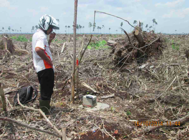 Bagan Melibur, Pulau Padang, Riau October 2014 after clearcutting by RGE / APRIL