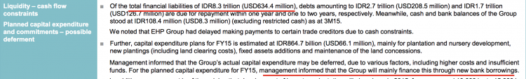 Eagle High management were planning to borrow MORE to re-finance its horrifying debts