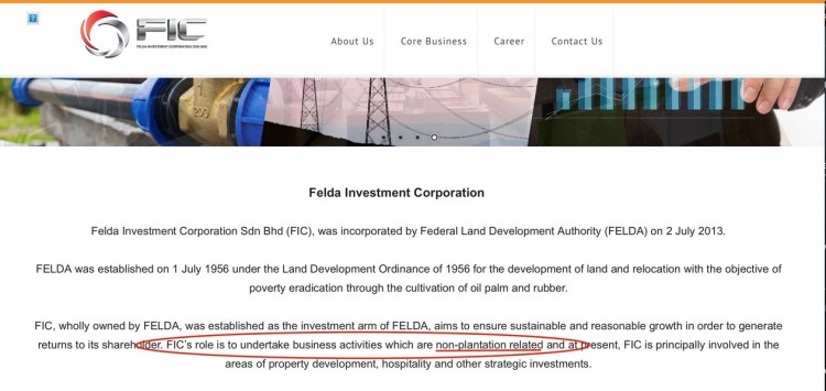 FIC was specifically set up NOT TO INVEST IN OIL PALM PLANTATIONS