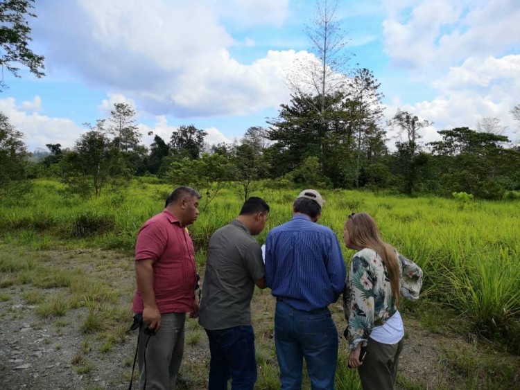 Key potential wildlife corridor area of degraded former primary forest in Lahad Datu region