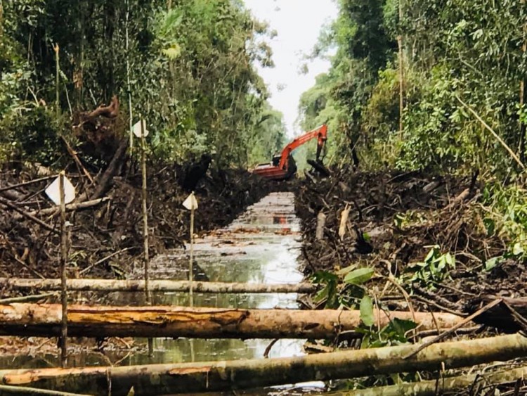 Ditching and draining peatland is desperately destructive to the region and pours out warming gases