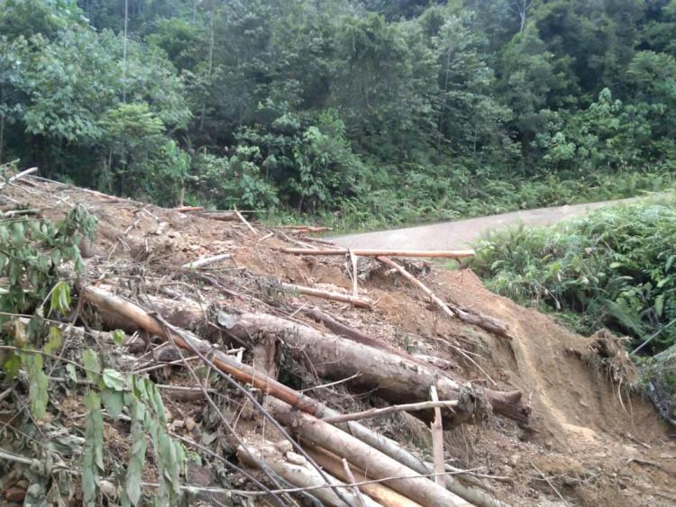 Landslides from destroyed hillsides logged indiscriminately with no heed to the consequences