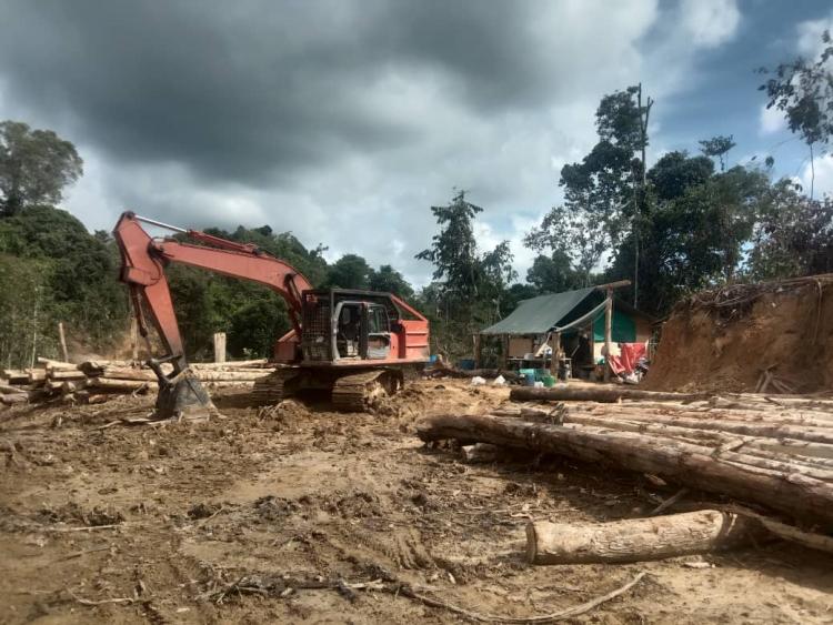 Alleged Illegal encampment and machinery for foreign workers operating in Ulu Sebauh - no evidence of their secret employers or any licence